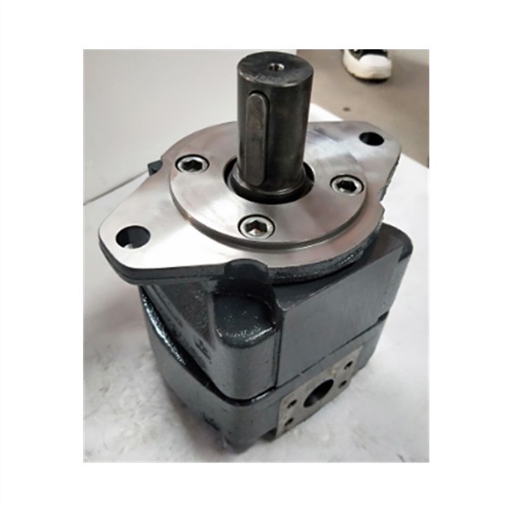 BUCHER High Pressure Pump QX53/63/83/23/33/43-050/040/063/080/100/125/250/200/R Gerotor Internal Gear Pump QX63-080R